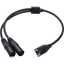 Perfk Çift Xlr 3pin Erkek - RJ45 Adaptör Kablosu 0.5m Uzunluğunda Ses (Yurt Dışından)