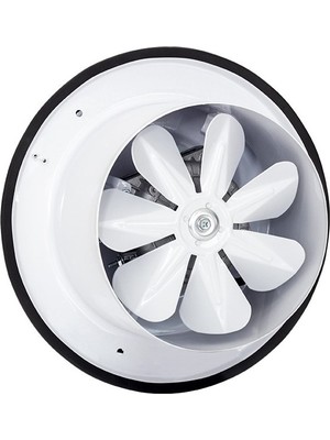 Bahçıvan 30 cm çapında BB 300 1325 D/D 220/230 volt Monofaze Aksiyel Baca Aspiratörü