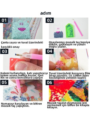 Cloud Yıldızlı Gökyüzü Gri Kurt Dıy Elmas Mozaik Tablo Mozaik Puzzle 30X30 cm Dekorları Tablo (Yurt Dışından)