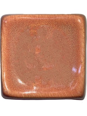 Refsan Artistik Seramik Sırı -  Gc 2025 Shrimp