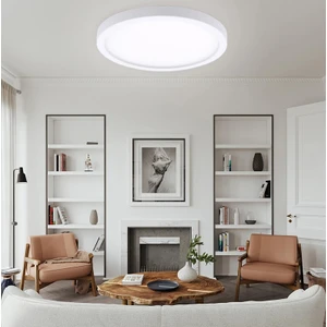 Lux Home Büyük Boy 24W Aydınlatma Tavan Glop Tavan Armatürü Balkon Banyo Lambası LED 6500K Beyaz