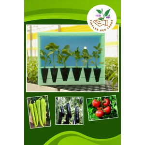 Serada Decor Plant Fideler Her Yerde Karışık Fide Paketi Domates(2 Adet) Biber(2 Adet) Patlıcan(2 Adet)