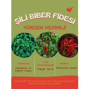 Serada Decor Plant Şili Biber Fidesi Kırmızı Yerli Tohum 10 Adet, Mor Cin Biber Fidesi 1 Adet