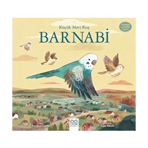 Küçük Mavi Kuş Barnabi - Andrea Curtis