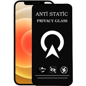 Kzy Apple iPhone 12 Tam Kaplayan Anti Statik Görünmez Safir Ekran Koruyucu Hayalet Cam