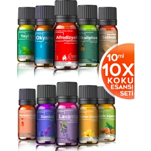 Oda Kokusu Seti 10'lu Esansiyel Uçucu Yağ Buhurdanlık Yağı Difüzör Esansı Aromaterapi Ortam Kokusu 10X10=100 ml