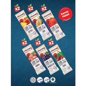 Karma 2 Meyve Bar 12 Adet | Sağlıklı Atıştırmalıklar – Vegan, Glutensiz, Koruyucusuz 20gr X 12 Adet
