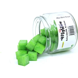 Buhurdanlık Kokusu Wax Rain Forest