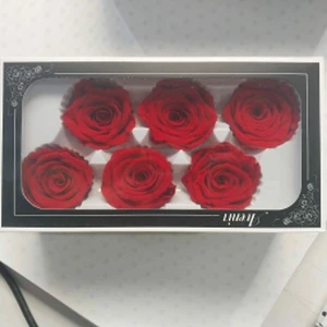 Şoklanmış Gül  (6 Adet)  Özel Kutusunda