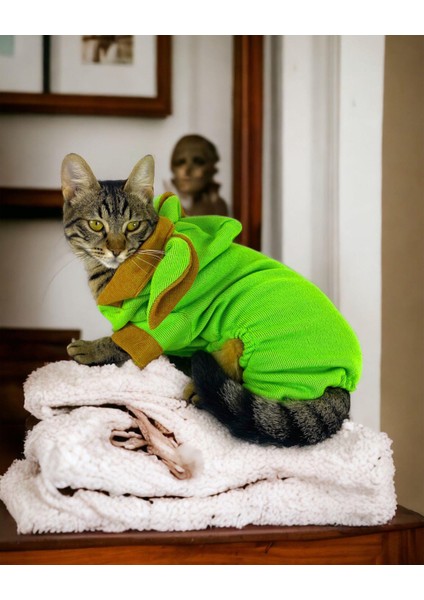 Froggy Kulaklı Duo Kedi Tulumu,kıyafeti fiyatları