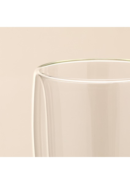 Easy Çift Cidarlı Bardak 450 ml Transparan