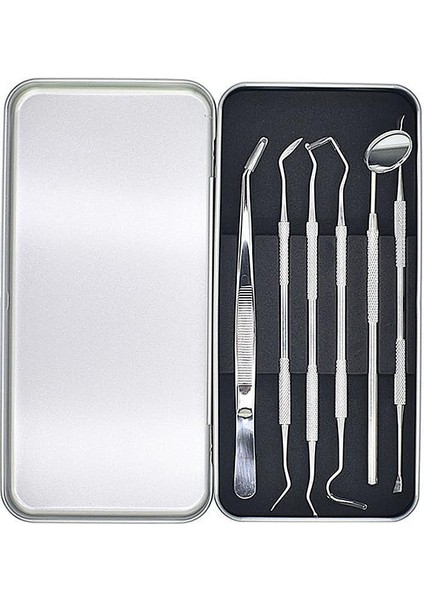 6 Adet Metal Kutulu Paslanmaz Çelik Diş Tartar Dil Temizleme Dental Ağız Bakım Seti
