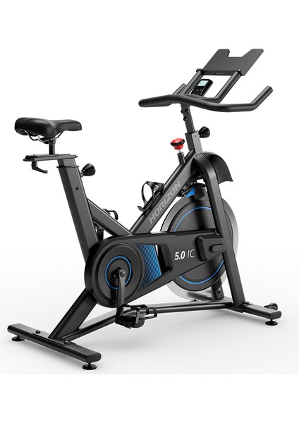 Horizon 5.0ıc Indoor Cycle