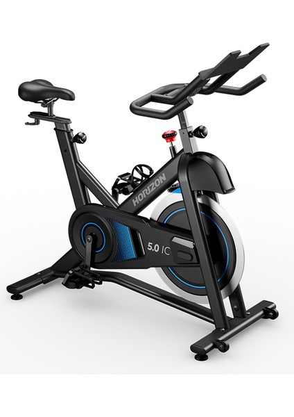 Horizon 5.0ıc Indoor Cycle