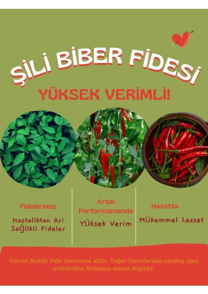 Şili Biber Fidesi Kırmızı Yerli Tohum 10 Adet, Mor Cin Biber Fidesi 1 Adet