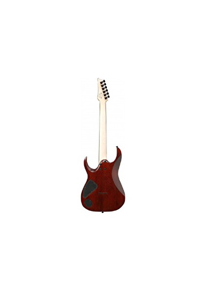 RGA42FM-DEF RGA Dragon Eye Burst Elektro Gitar fiyatları