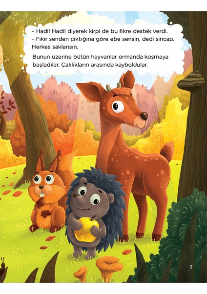 İlk Okuma Serisi - Benimle Saklambaç Oynar Mısın? -