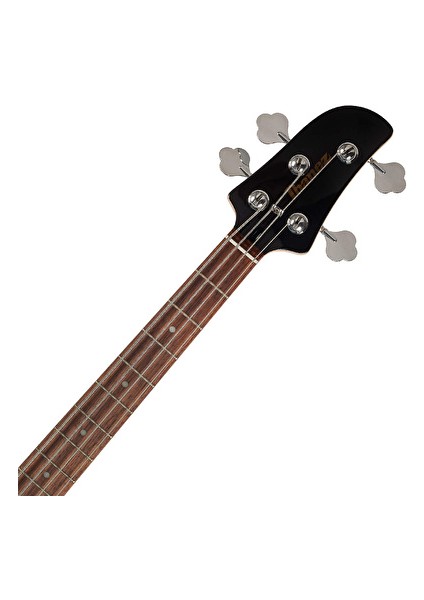 TMB30-MGR Bas Gitar