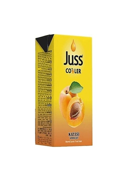 Cooler 1/5 Kayısı Meyveli İçecek 27'li