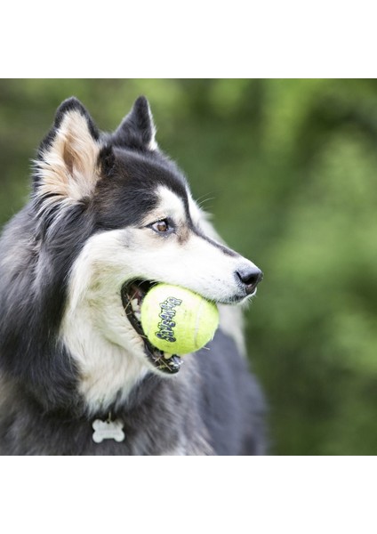 Köpek Air Sq Sesli Tenis Topu L 2 Adet 8cm