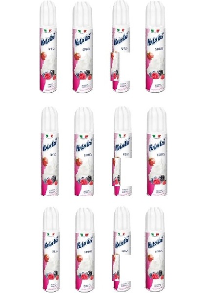 Spray Krem Şanti 250 ml x 12 ( Koli)
