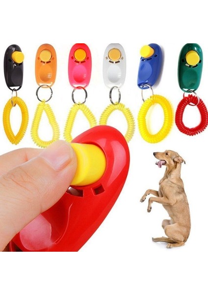 Clicker Köpek Çağırma