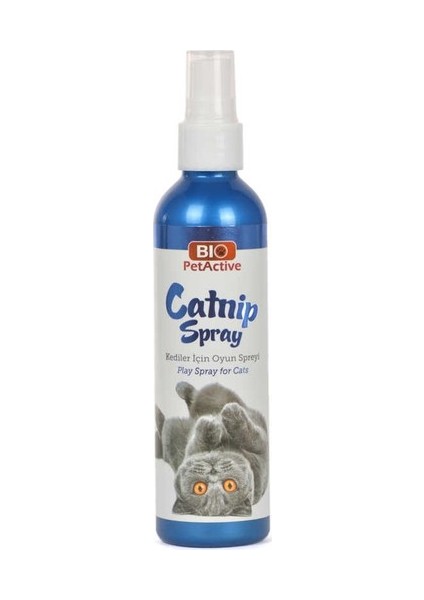 Pet Active Kediler Için Catnip Oyun Spreyi 100 ml