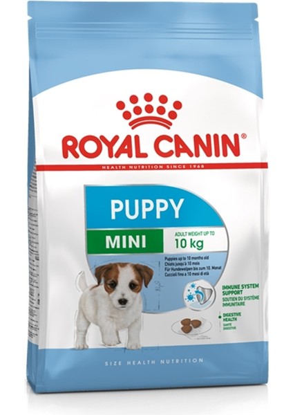 Mini Puppy 2 kg