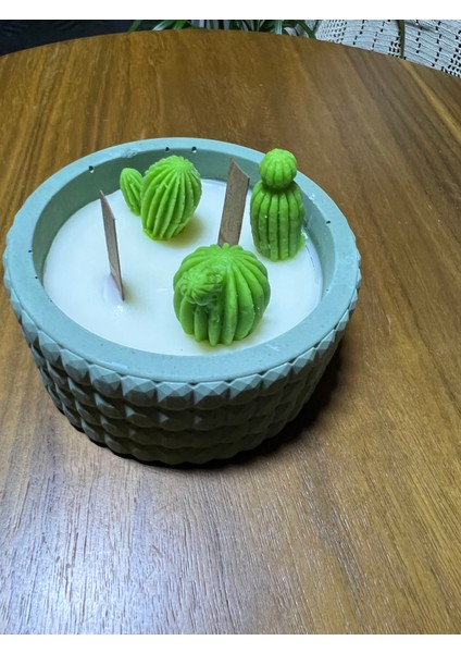 Beton Saksıda Kaktüs Detaylı Mum