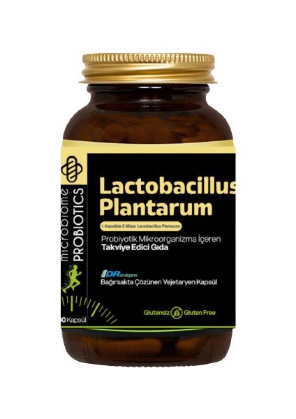 Lactobacillus Plantarum Probiotic 30 Kapsül (Probiyotik Mikroorganizma)