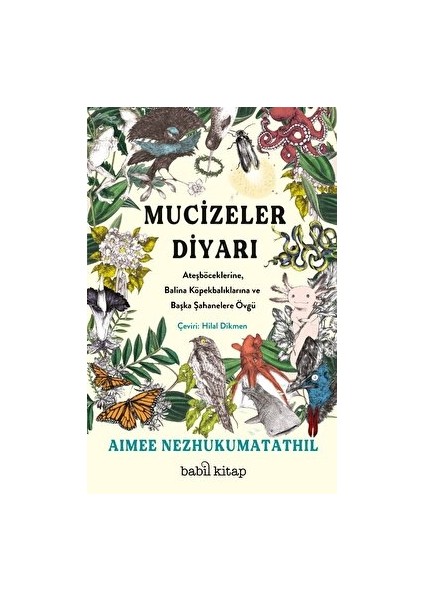 Mucizeler Diyarı: Ateşböceklerine - Balina Köpekbalıklarına ve Başka Şahanelere Övgü - Aimee Nezhukumatathil