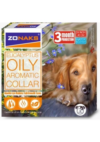 Köpekler Için Okaliptus Aromatik Tasma