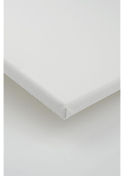Tuval 25 x 35 cm