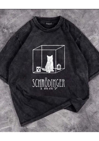 Yıkamalı Cat In Cube Baskılı Oversize Eskitme T-Shirt