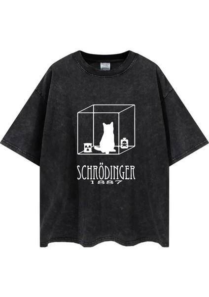 Yıkamalı Cat In Cube Baskılı Oversize Eskitme T-Shirt fiyatları