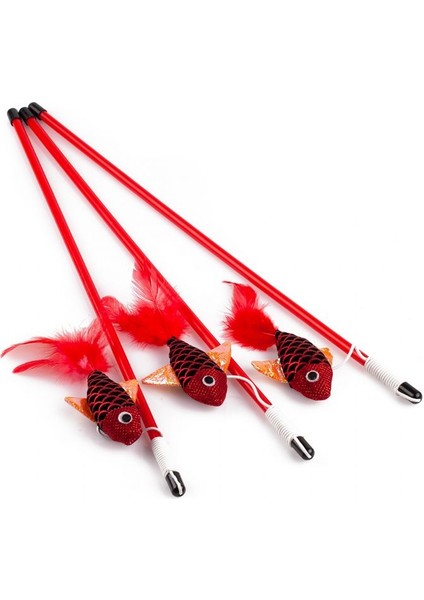 Kedi Oltası Renkli Balıklar