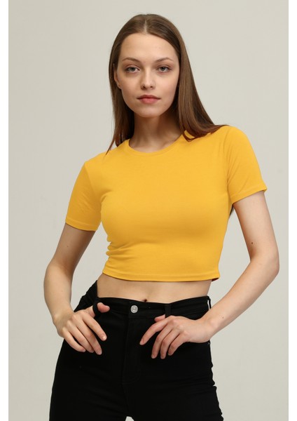 Kadın Hardal Bisiklet Yaka Basic Crop T-Shirt