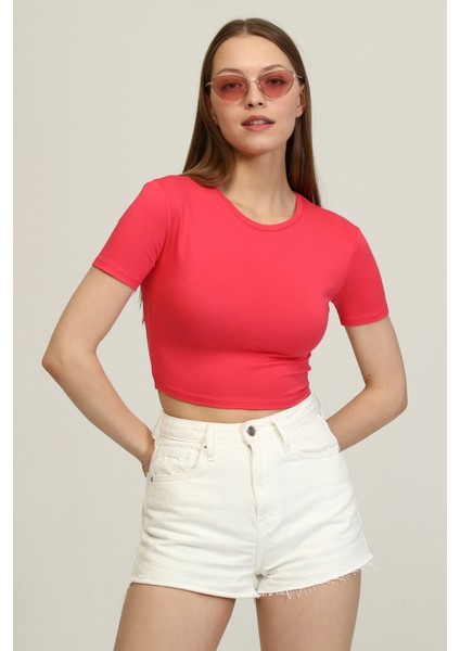 Kadın Pembe Bisiklet Yaka Basic Crop T-Shirt