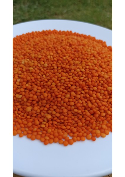 Doğal Kırmızı Mercimek 1 kg