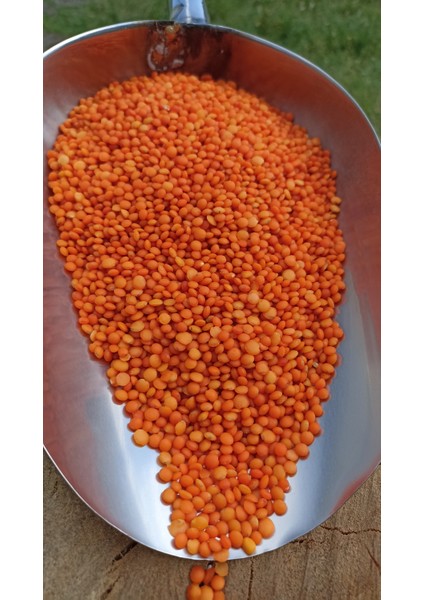 Doğal Kırmızı Mercimek 1 kg