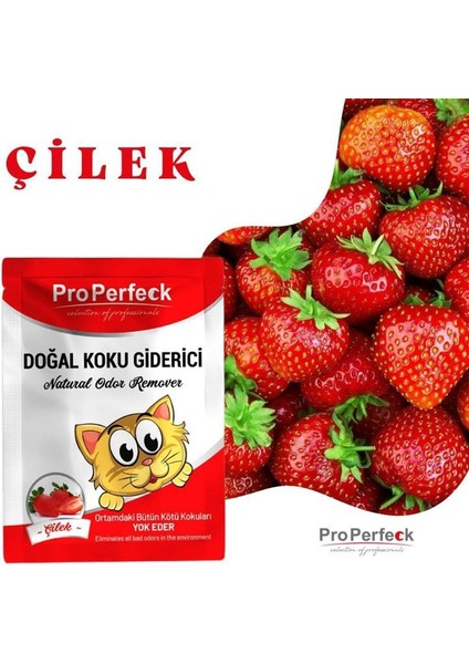 Properfeck Koku Giderici Çilek