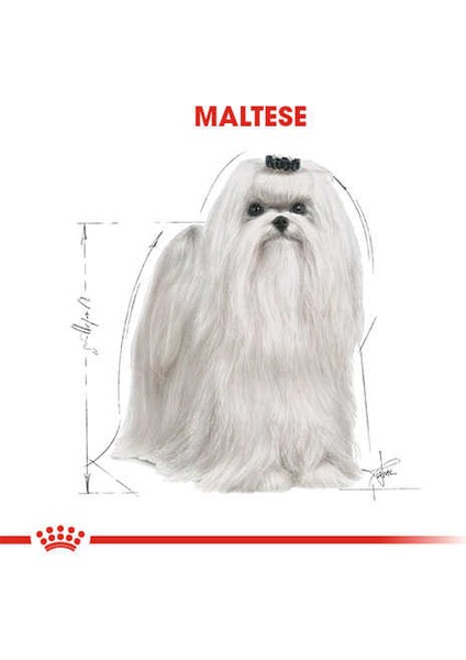 Maltese Terrier Adult Yetişkin Köpek Maması 1,5 kg modelleri