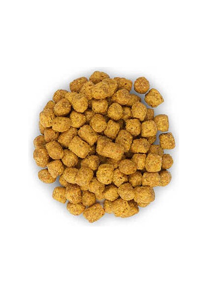 Young Sterilised Tavuklu Kısırlaştırılmış Kedi Maması 1,5 kg