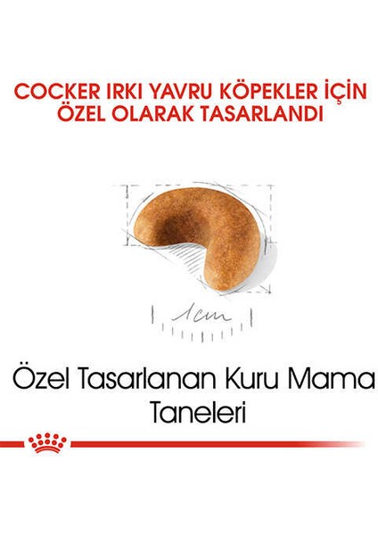 Cocker Junior Yavru Köpek Maması 3 kg