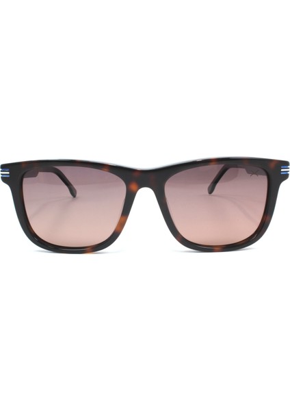 8344 C3 54 Black Polarize Güneş Gözlüğü