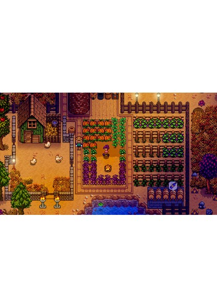 Stardew Valley - Nintendo Switch Oyun Eshop Key modelleri