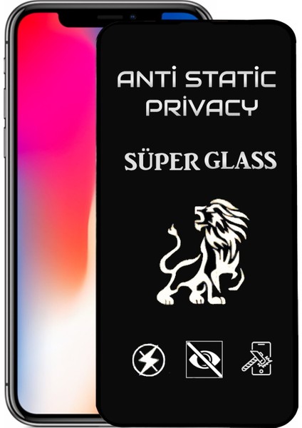 Apple iPhone X Tam Kaplayan Anti Statik Hayalet Süper Cam Ekran Koruyucu