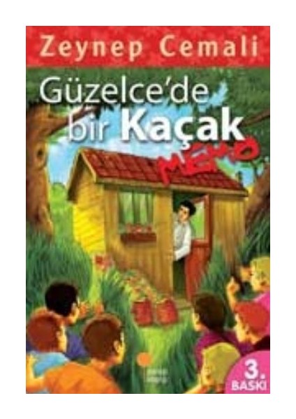 Güzelcede Bir Kaçak, Memo