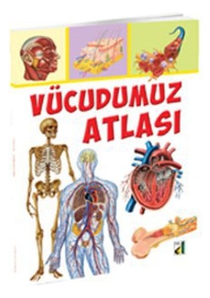 Vücudumuz Atlası