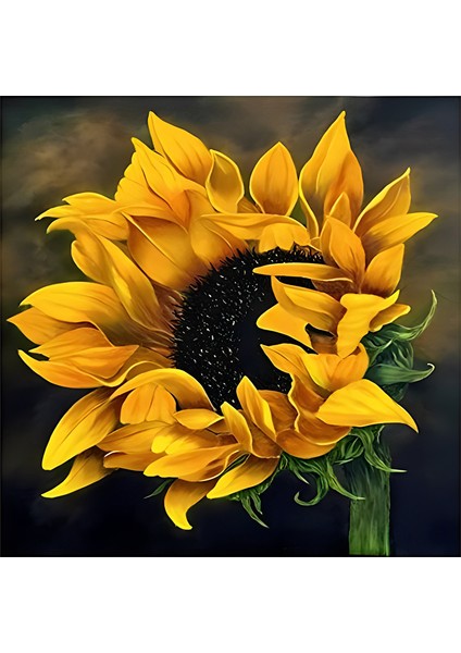 Ayçiçeği Dıy Elmas Mozaik Tablo Mozaik Puzzle 30X30 cm Dekorları Tablo (Yurt Dışından)